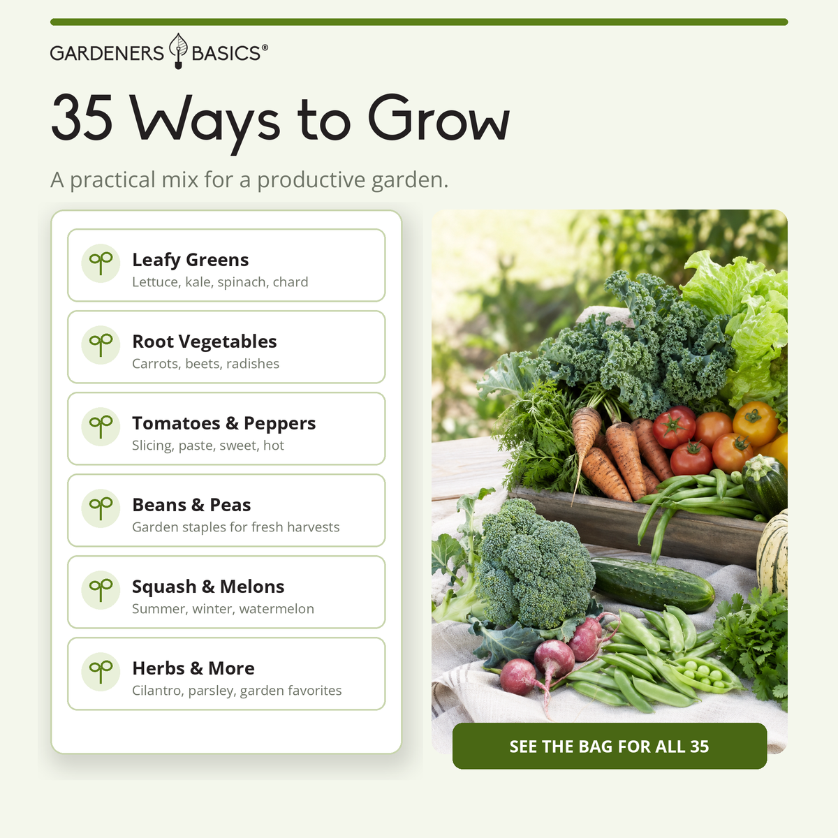 Seed Safe Beginner Garden Kit | 35 Varieties