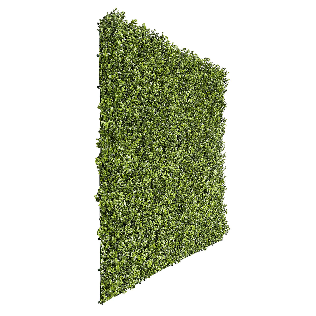 Natural Boxwood Artificial Vertical Garden Green Wall Panel 40×40in 11 SQ FT – UV Resistant – Commercial Grade
