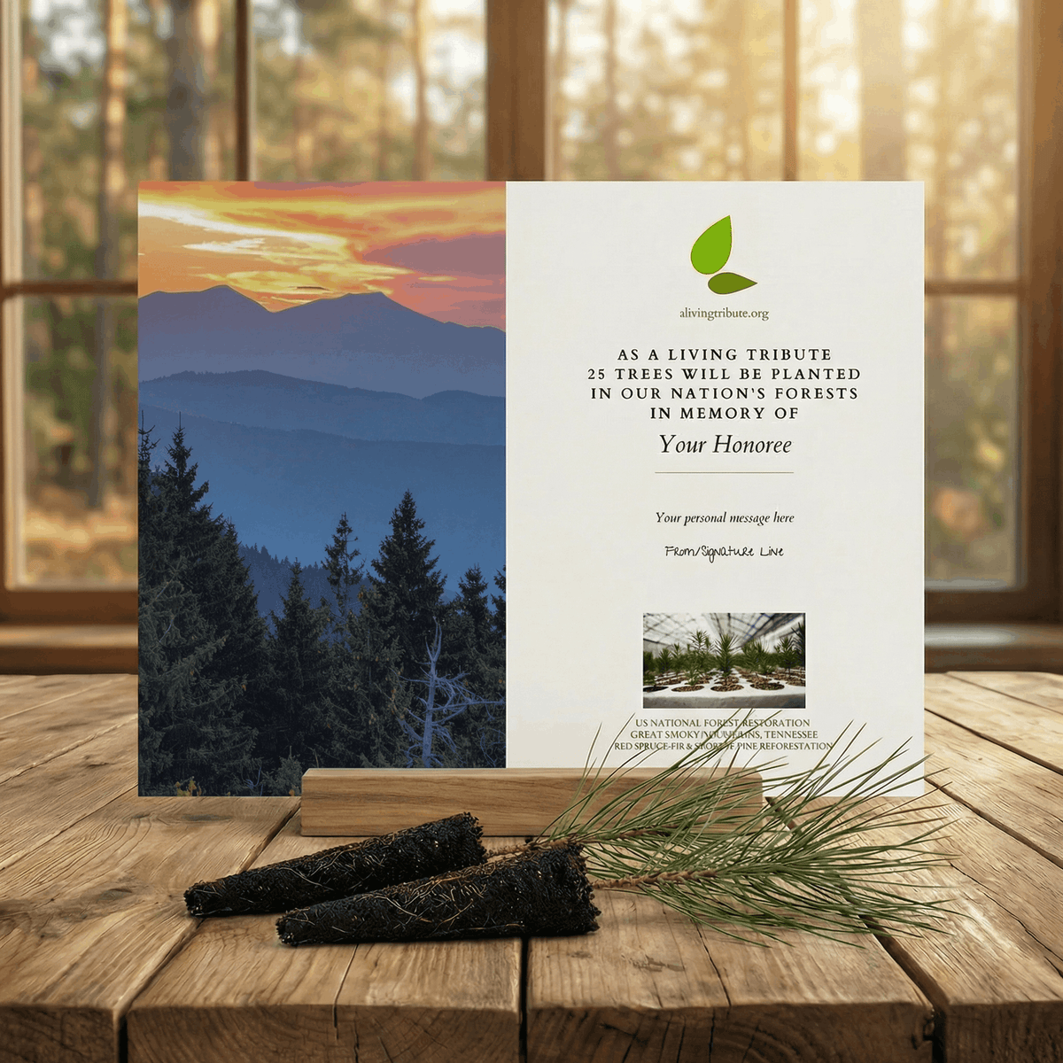 Plant a Tree for Someone in Tennessee - Memorial & Tribute Trees