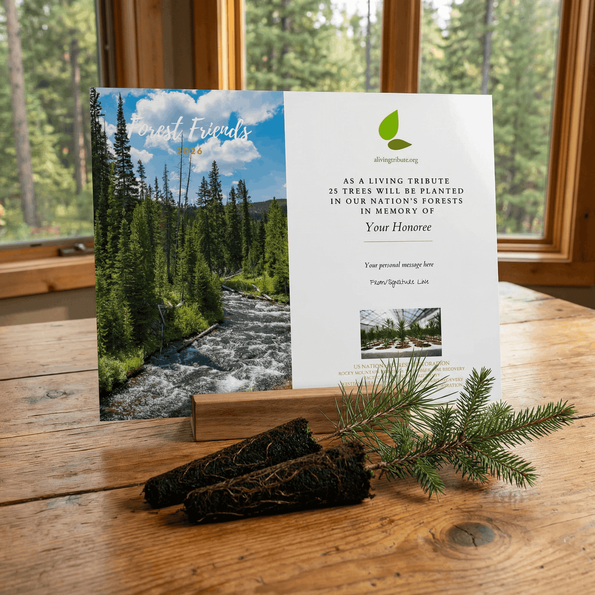 Plant a Tree For Someone in a National Forest - A Living Tribute