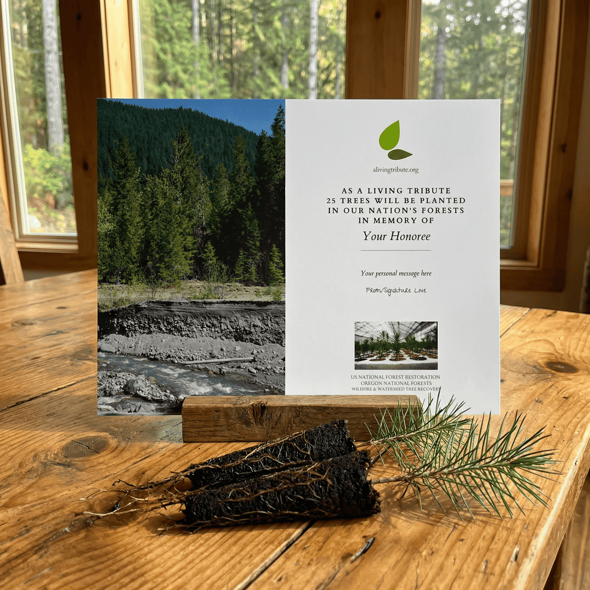 Plant a Tree for Someone in Oregon - Oregon Memorial Trees
