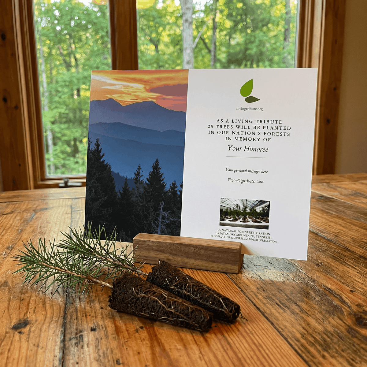 Plant a Tree for Someone in Tennessee - Memorial & Tribute Trees