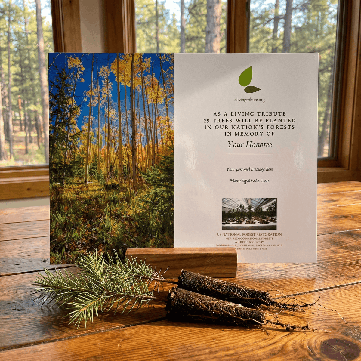 Plant a Tree for Someone in New Mexico - Memorial & Tribute Trees