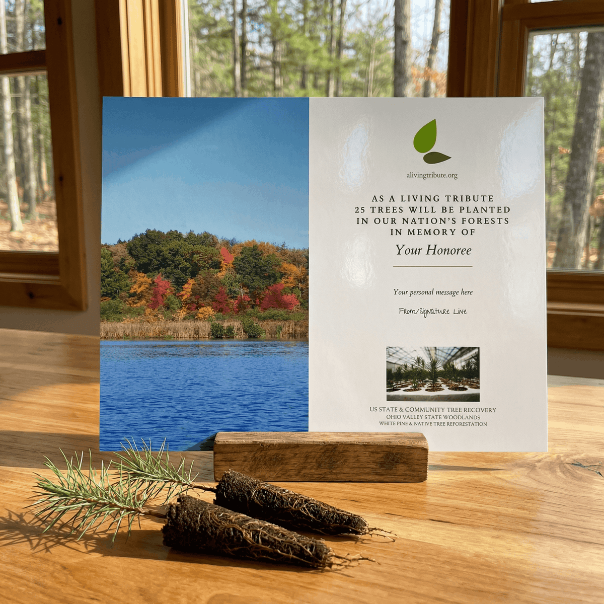 Plant a Tree for Someone in Ohio - Memorial & Tribute Trees