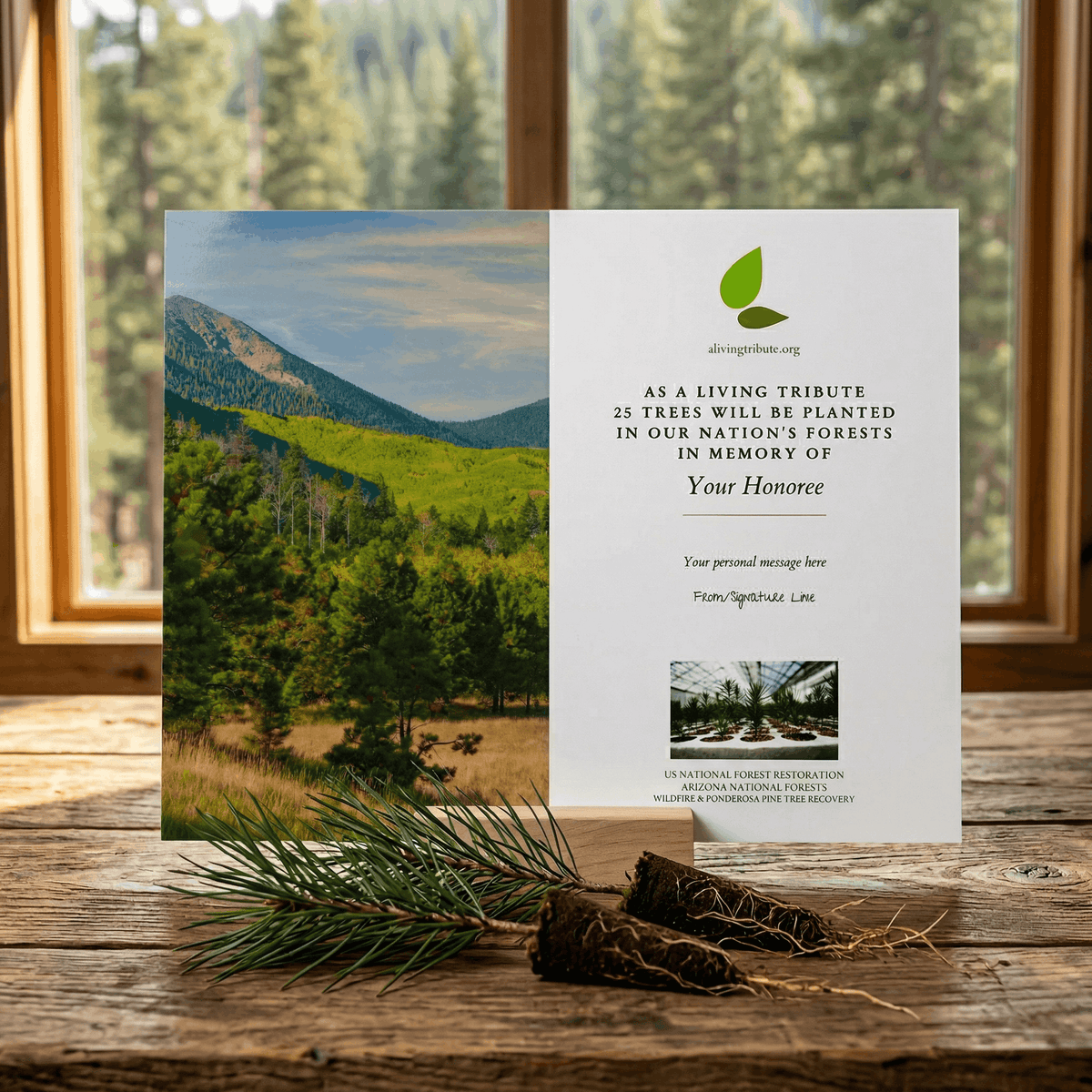 Plant a Tree for Someone in Arizona - Memorial & Tribute Trees