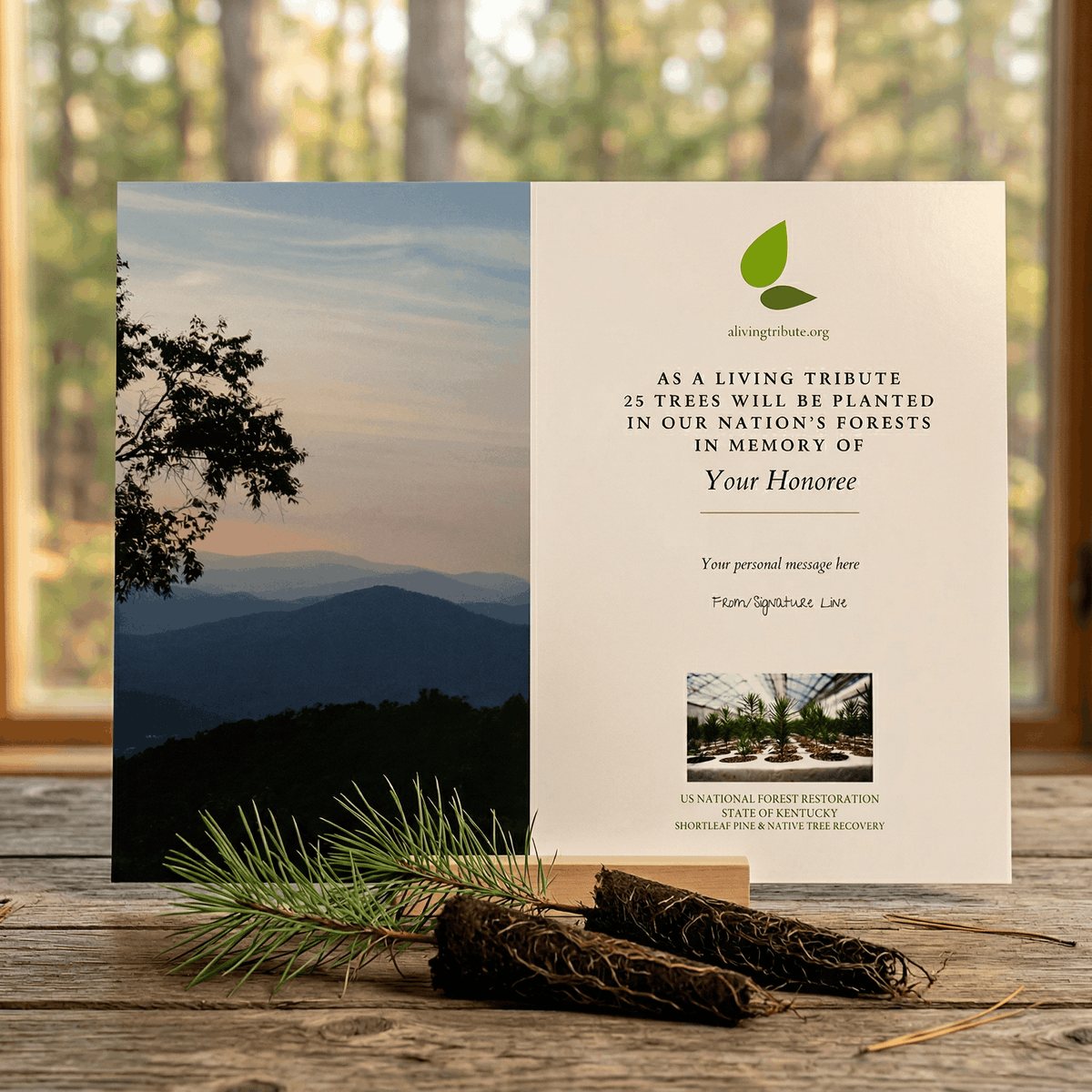 Plant a Tree for Someone in Kentucky - Memorial & Tribute Trees