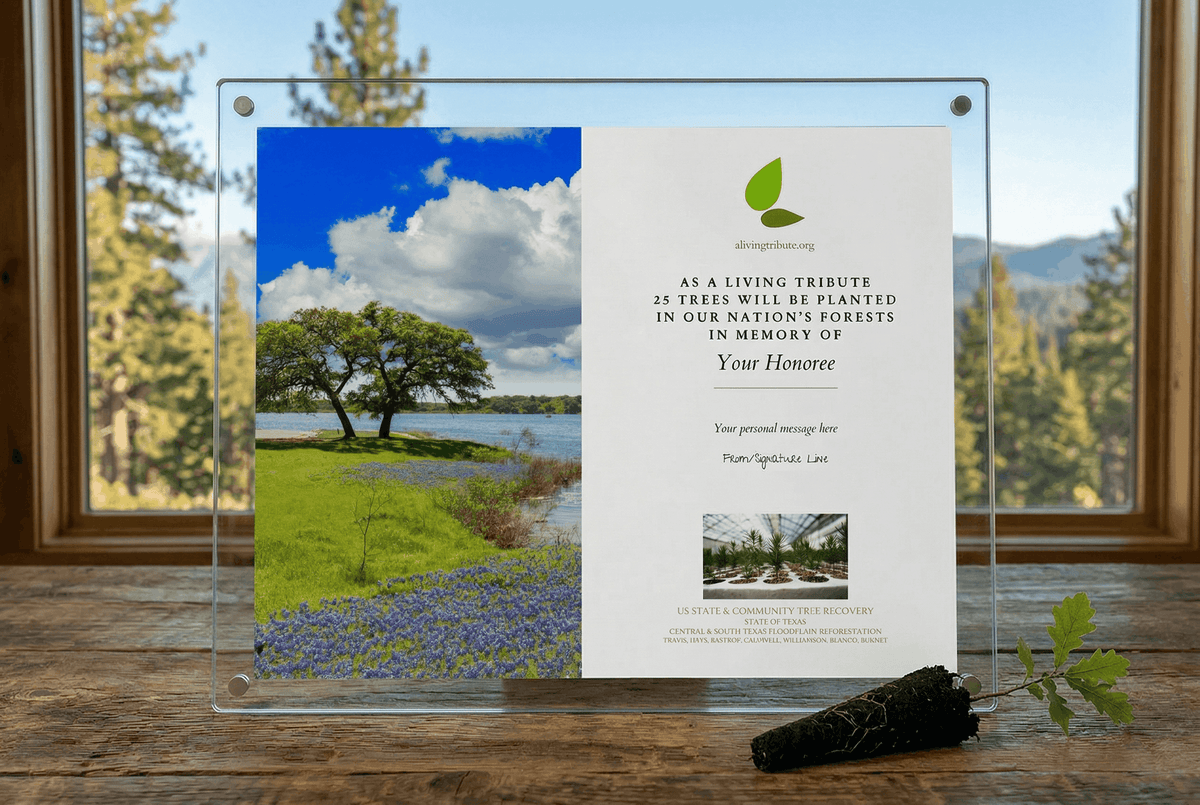 Plant-a-Tree Gift with Deluxe Glass Display Frame