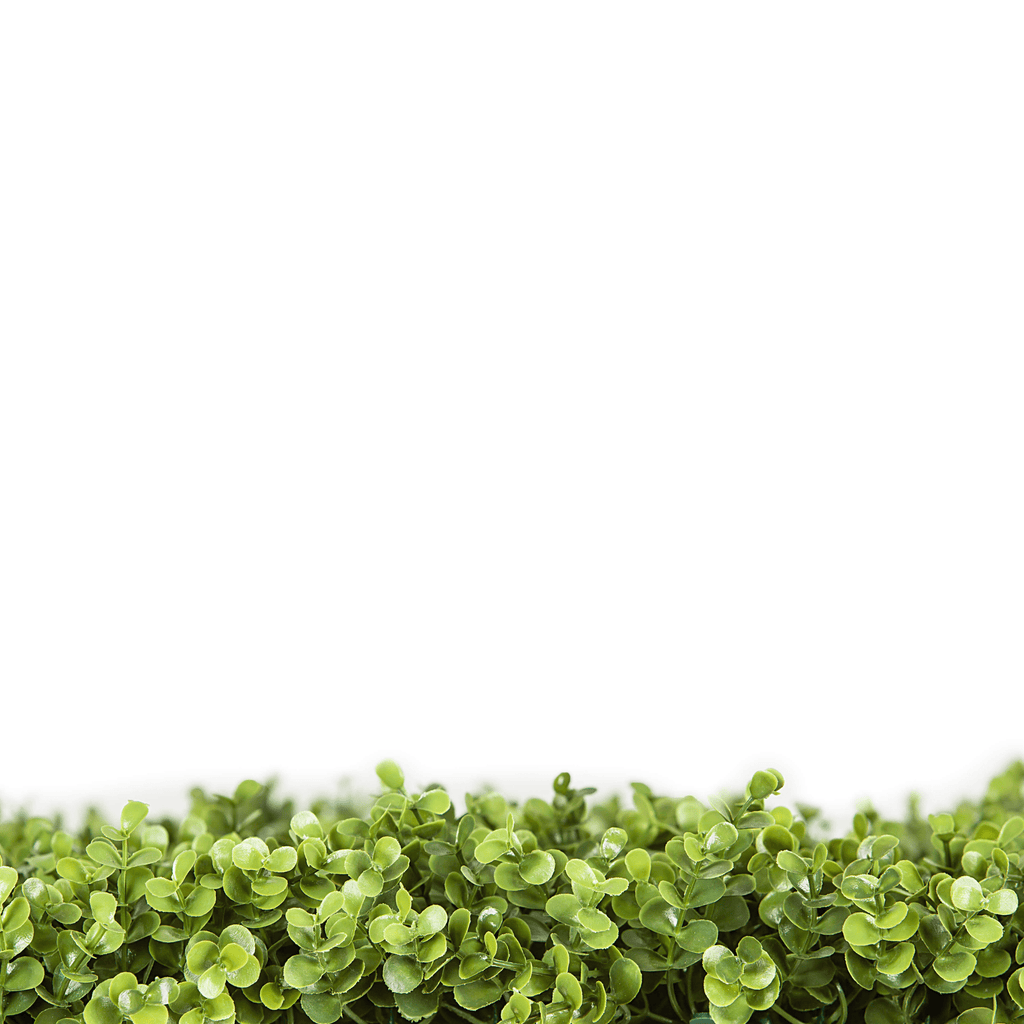Sample Panel – Natural Boxwood Green Wall (Small Sample)