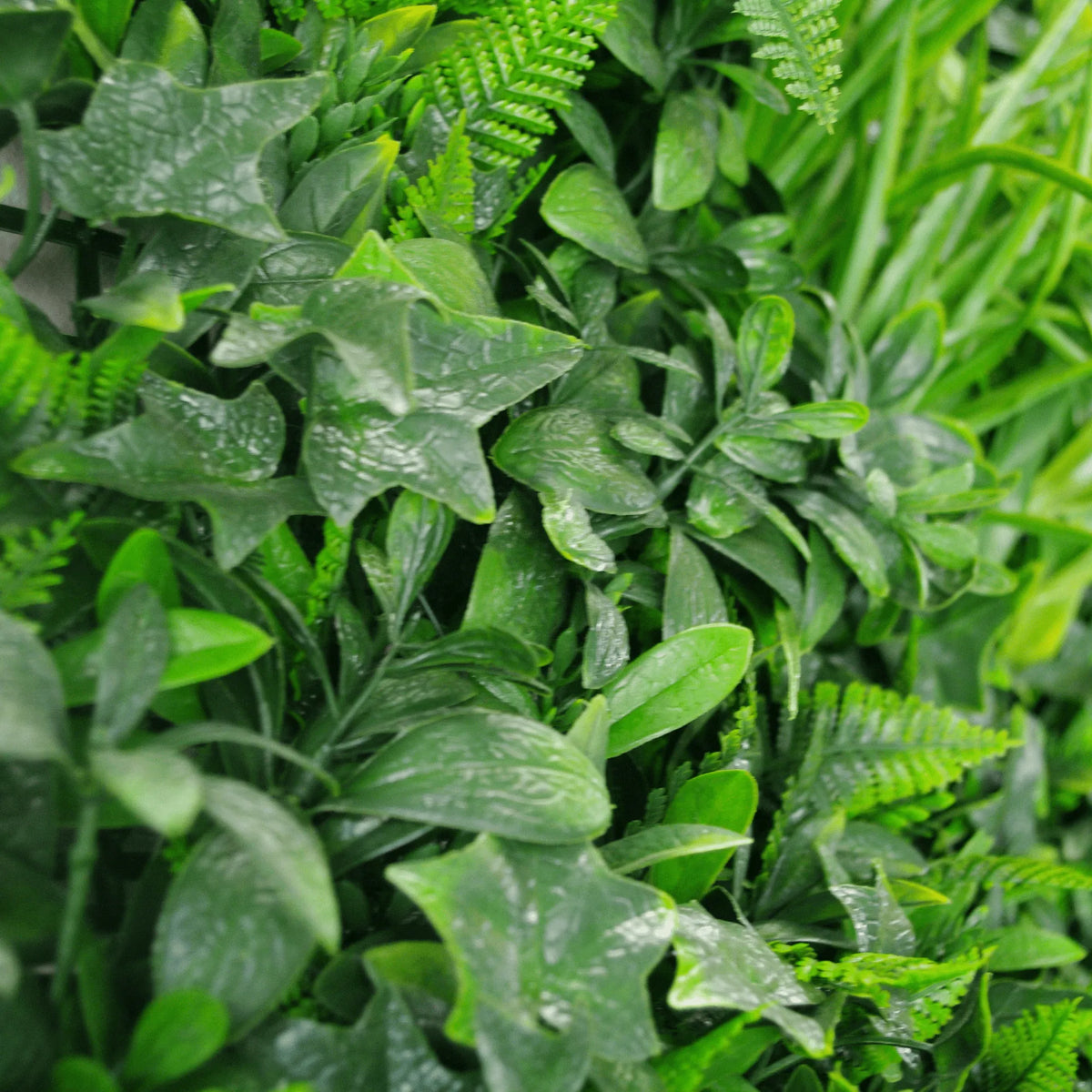 Sample Panel – Green Tropics Vertical Garden (Small Sample)