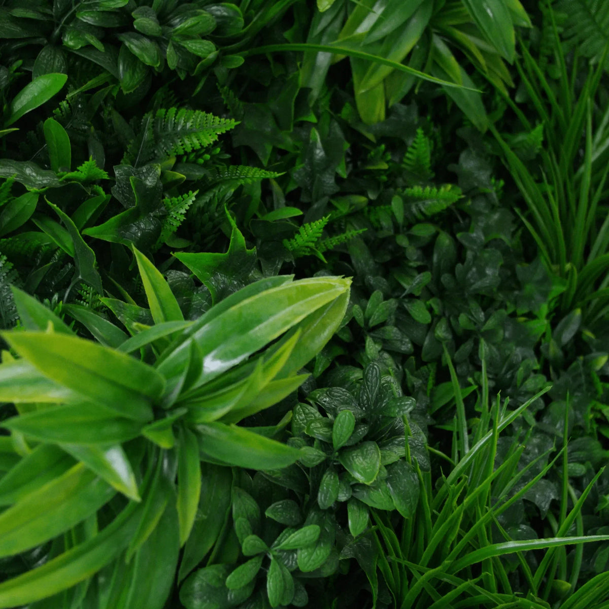 Sample Panel – Green Tropics Vertical Garden (Small Sample)