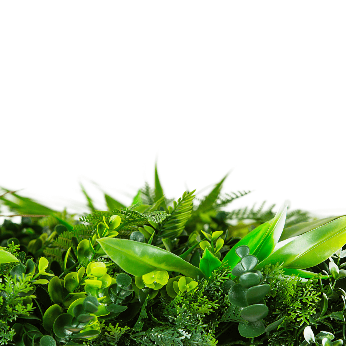 Sample Panel – Wild Tropics Vertical Garden (Small Sample)