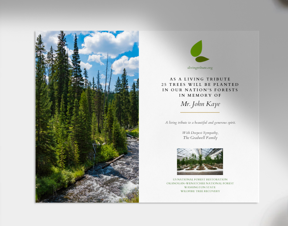 Plant-a-Tree Gift with Deluxe Photo Card