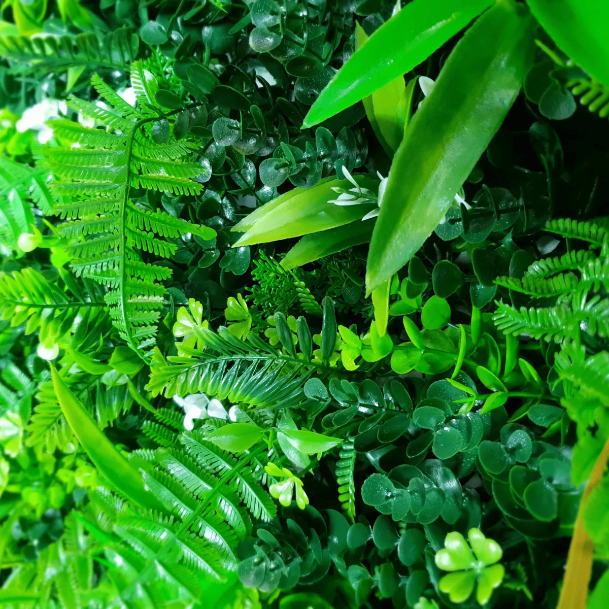 Sample Panel – Wild Tropics Vertical Garden (Small Sample)