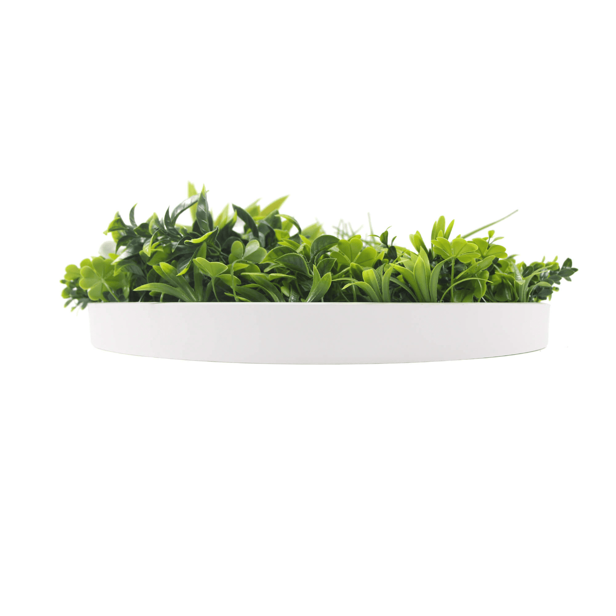 Artificial Green Wall Disc 20in – White Frame – UV Resistant – Commercial Grade