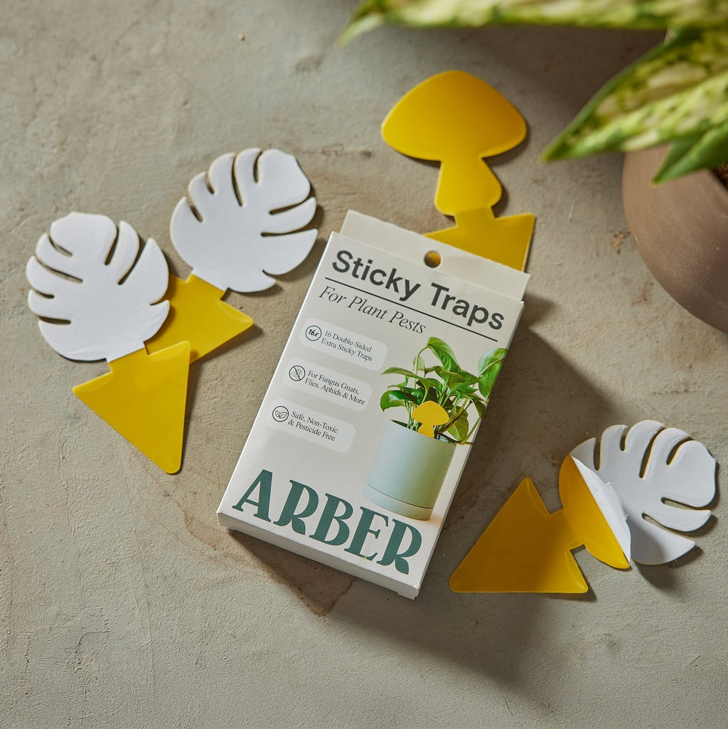 Sticky Traps for Plant Pests - House Plant Shop