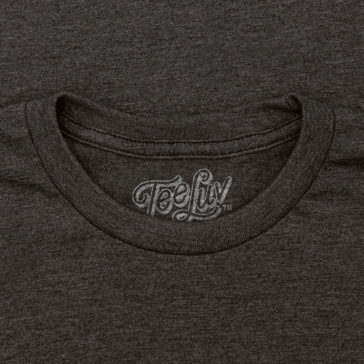 Pontiac Firebird Logo T-Shirt - Gray