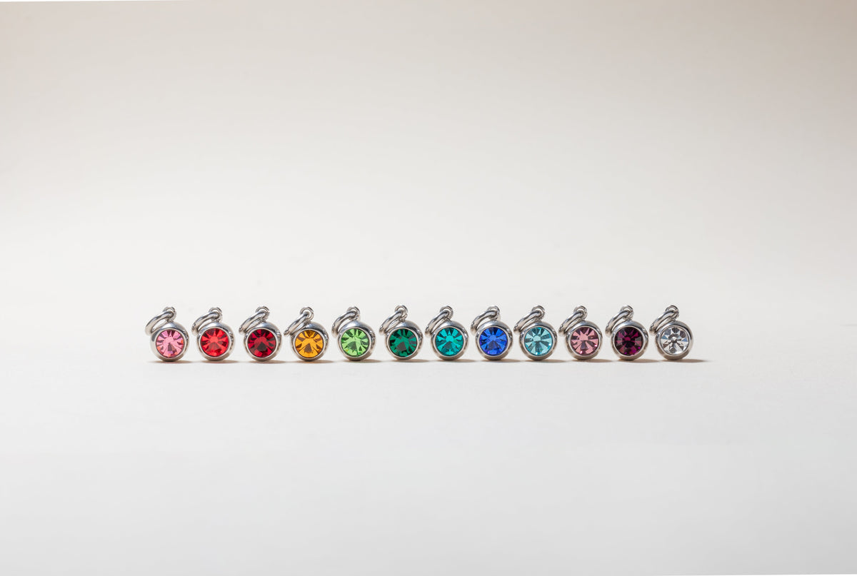 January Birthstone Interchangeable Charm