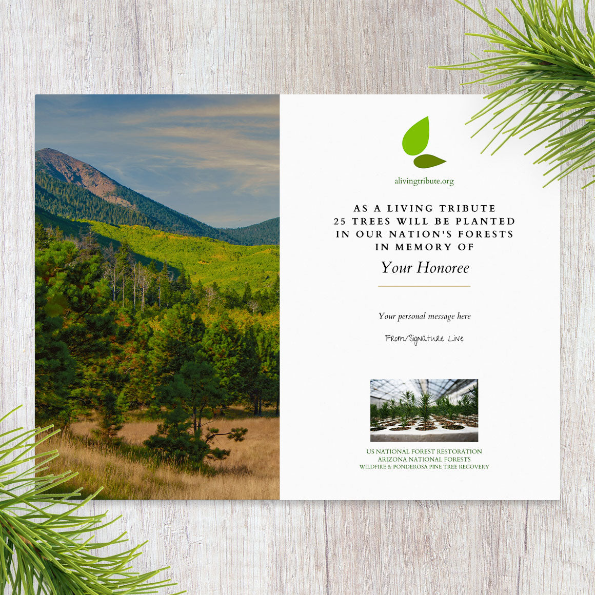 Plant a Tree for Someone in Arizona - Memorial & Tribute Trees