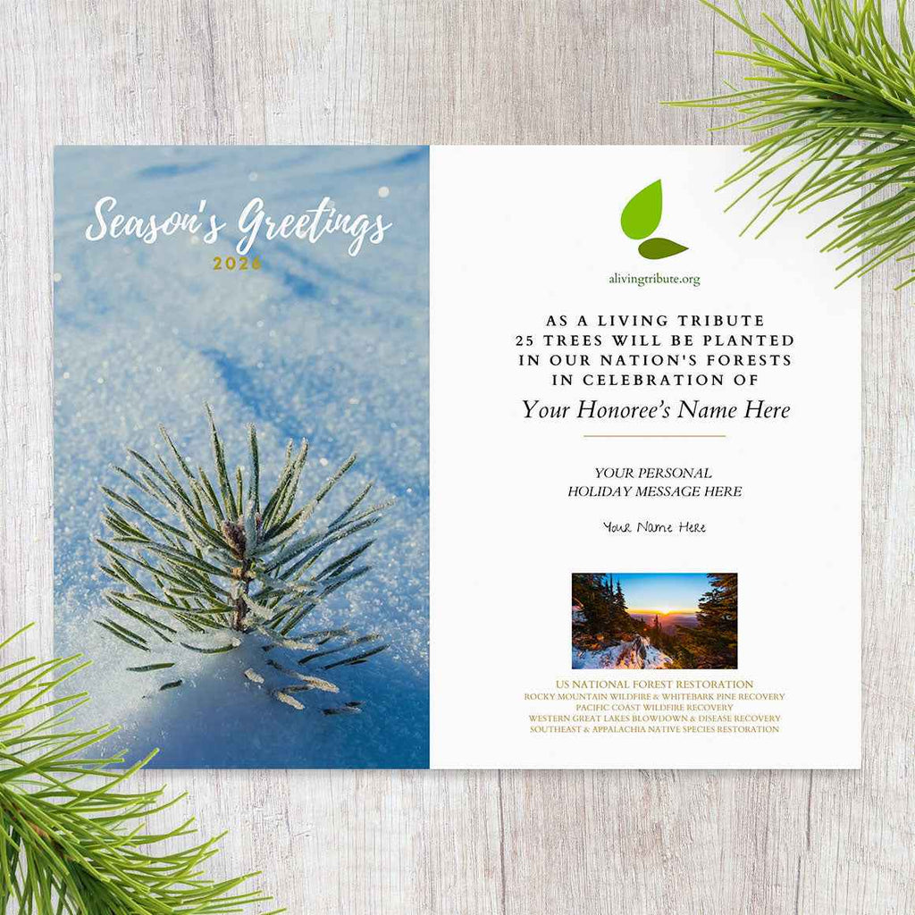 Plant a Tree Holiday Card 2026