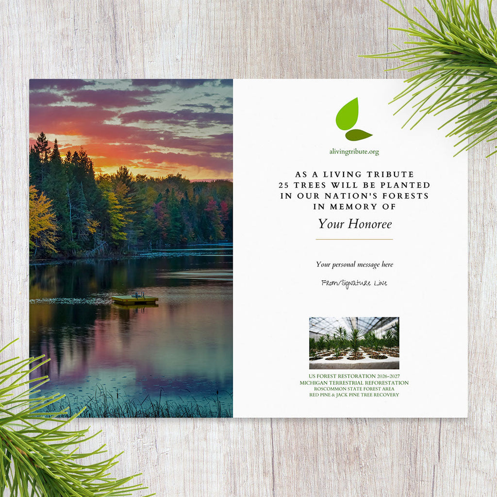 Plant a Tree for Someone in Michigan - Memorial & Tribute Trees