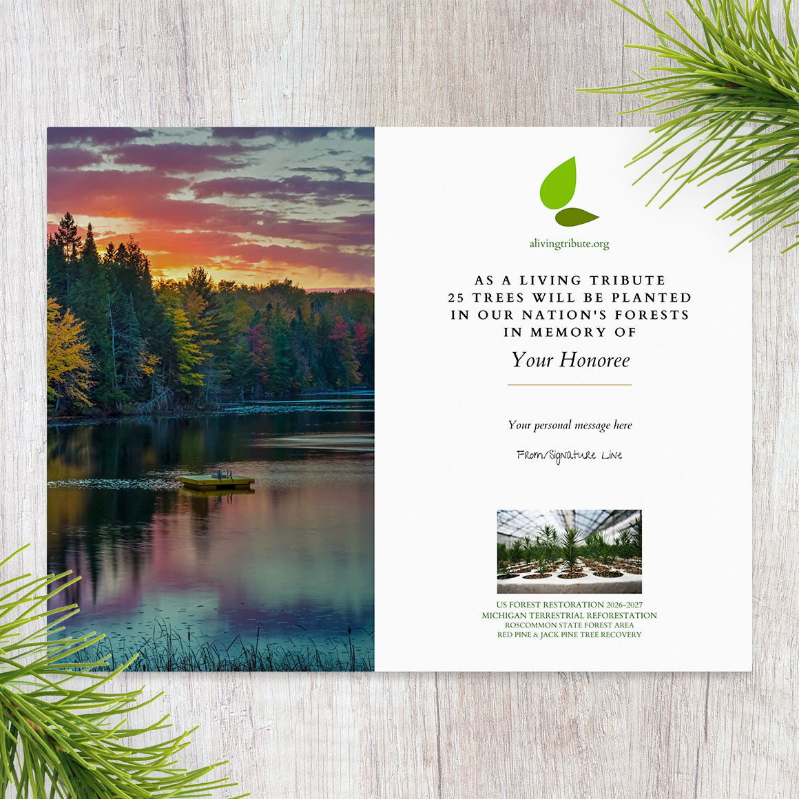 Plant a Tree for Someone in Michigan - Memorial & Tribute Trees