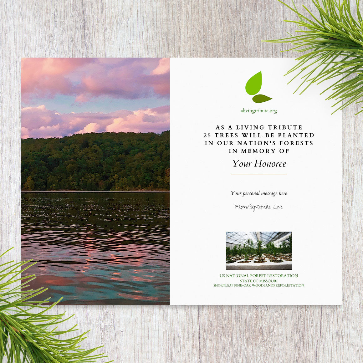 Plant a Tree for Someone in Missouri - Memorial & Tribute Trees