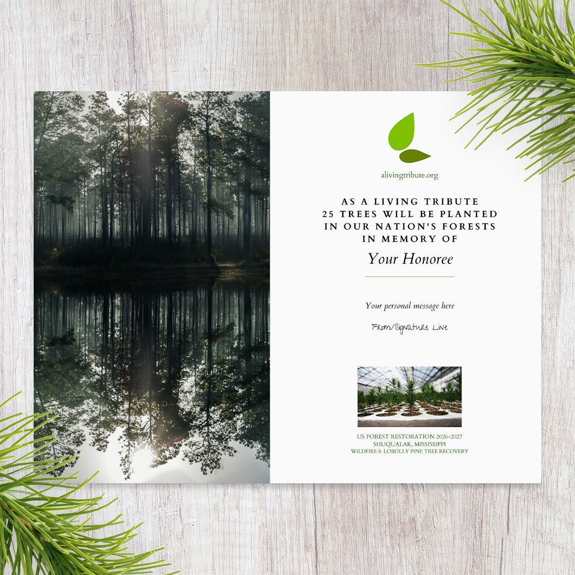 Plant a Tree for Someone in Mississippi - Memorial & Tribute Trees