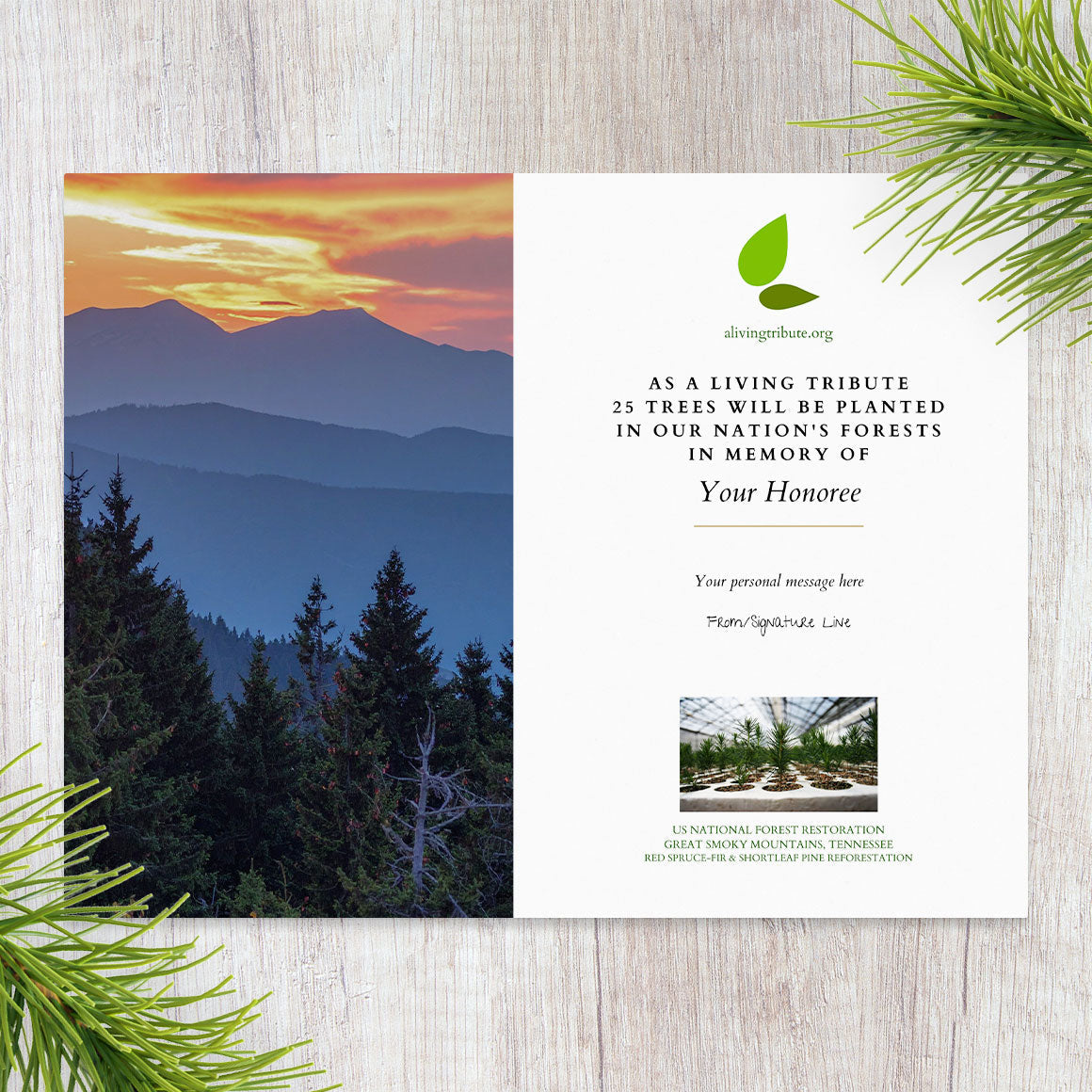 Plant a Tree for Someone in Tennessee - Memorial & Tribute Trees