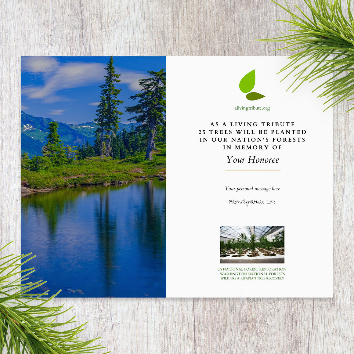 Plant a Tree for Someone in Washington - Memorial & Tribute Trees