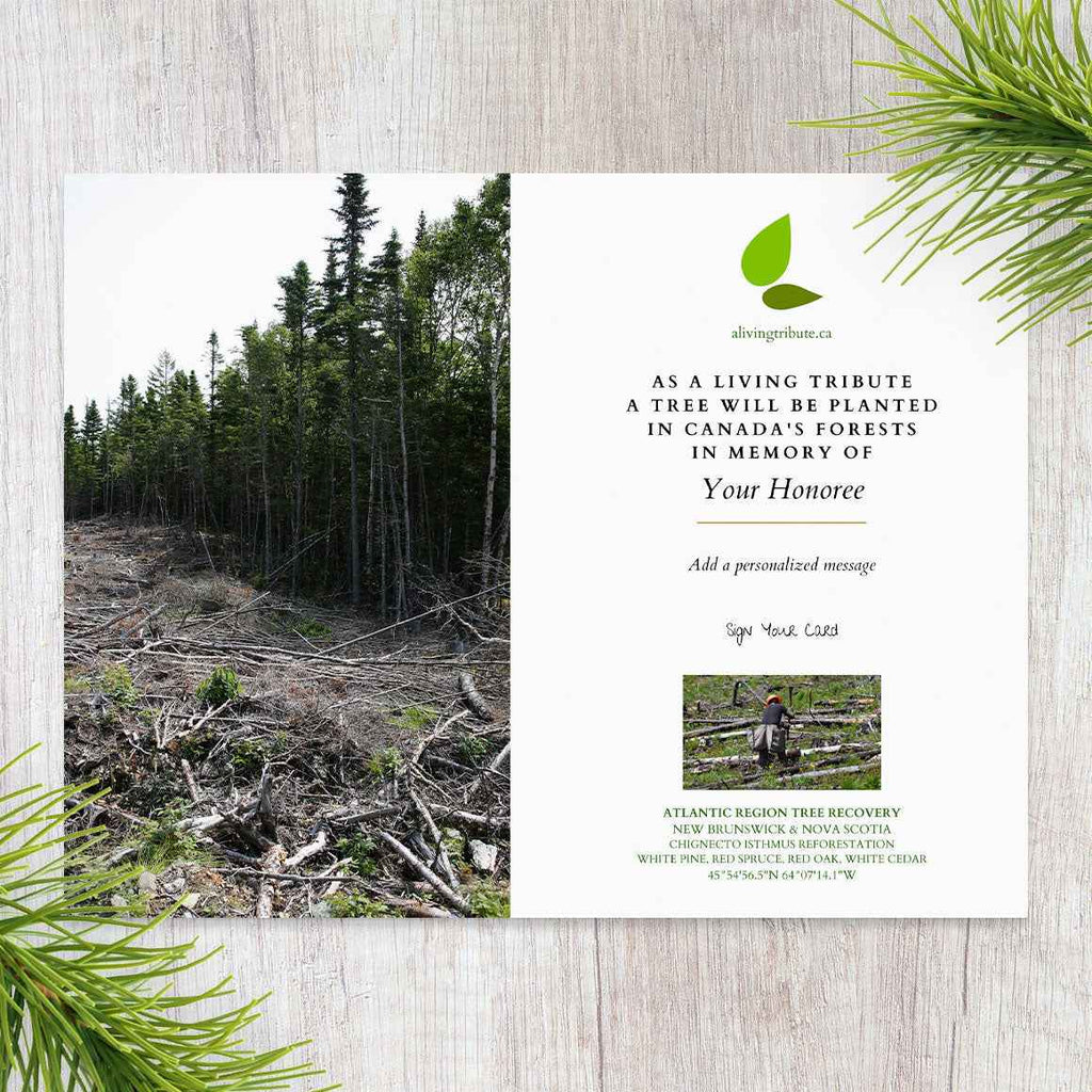 Plant a Tree in Canada with Personalized Photo Card