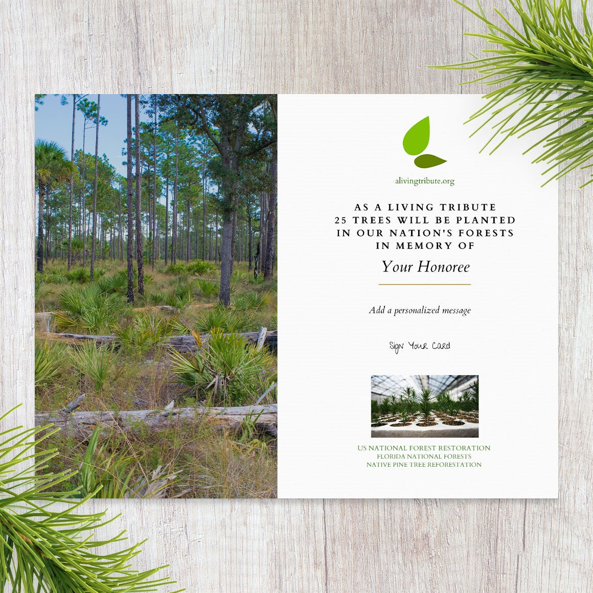 Plant-a-Tree Gift with Deluxe Photo Card