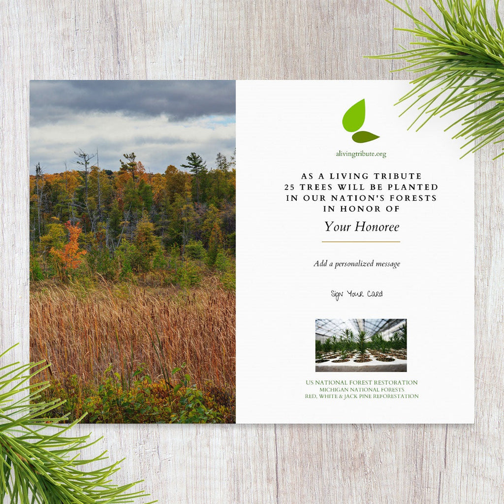 Plant-a-Tree Gift with Deluxe Photo Card