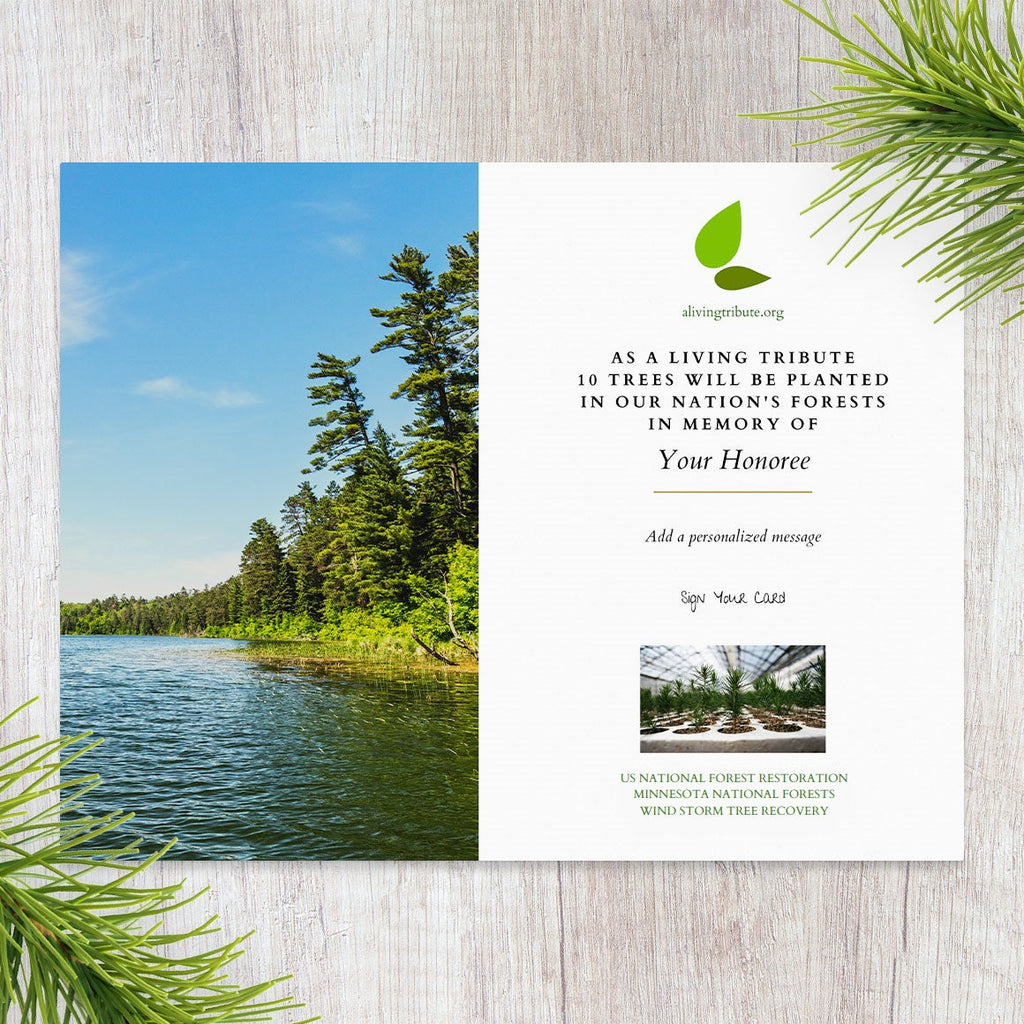 Plant-a-Tree Gift with Deluxe Photo Card
