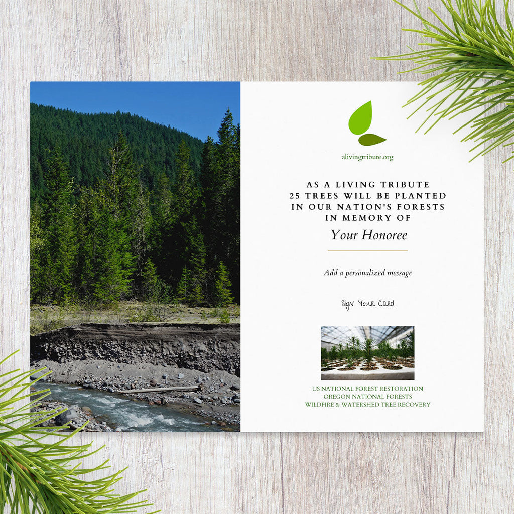 Plant a Tree for Someone in Oregon - Oregon Memorial Trees