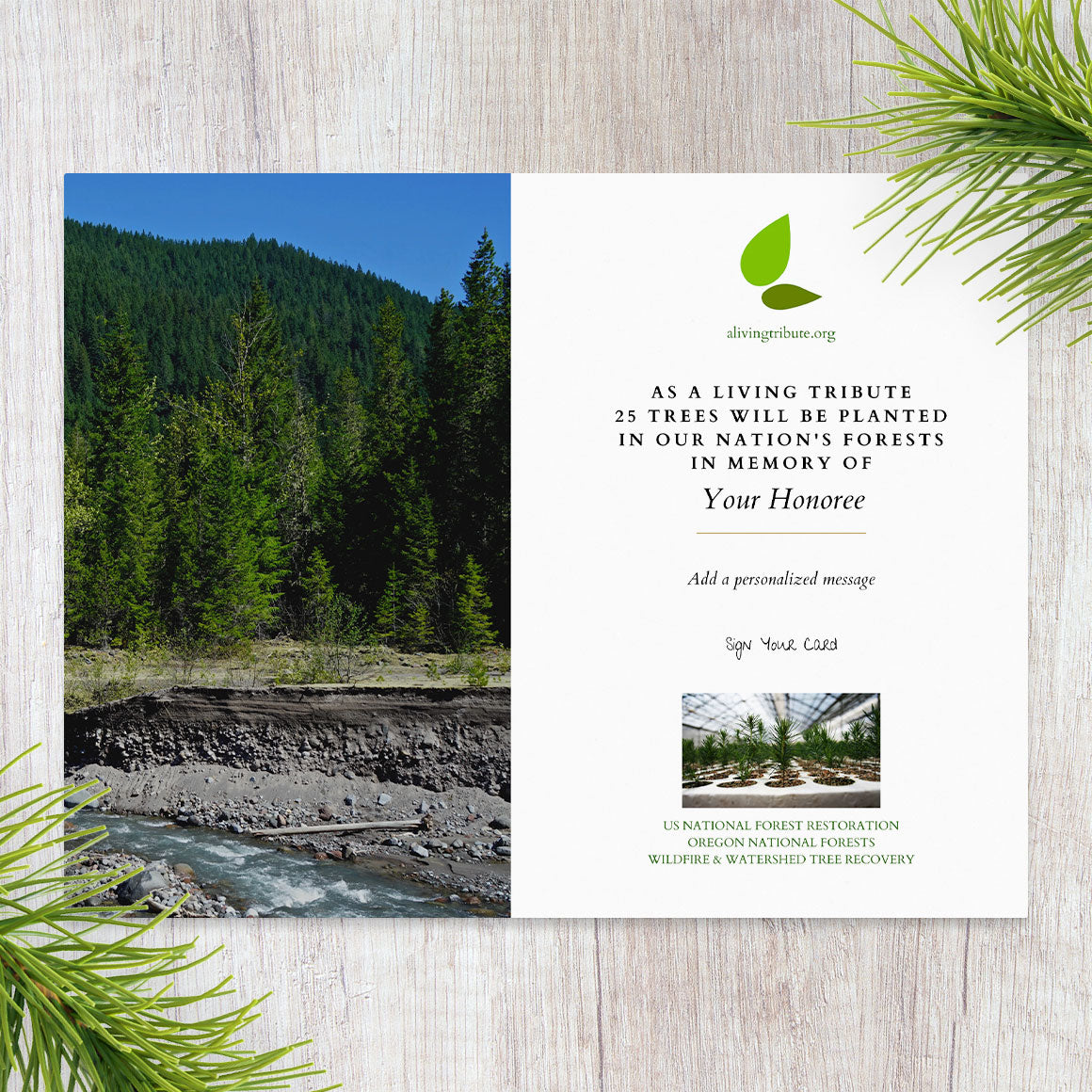 Plant-a-Tree Gift with Deluxe Photo Card