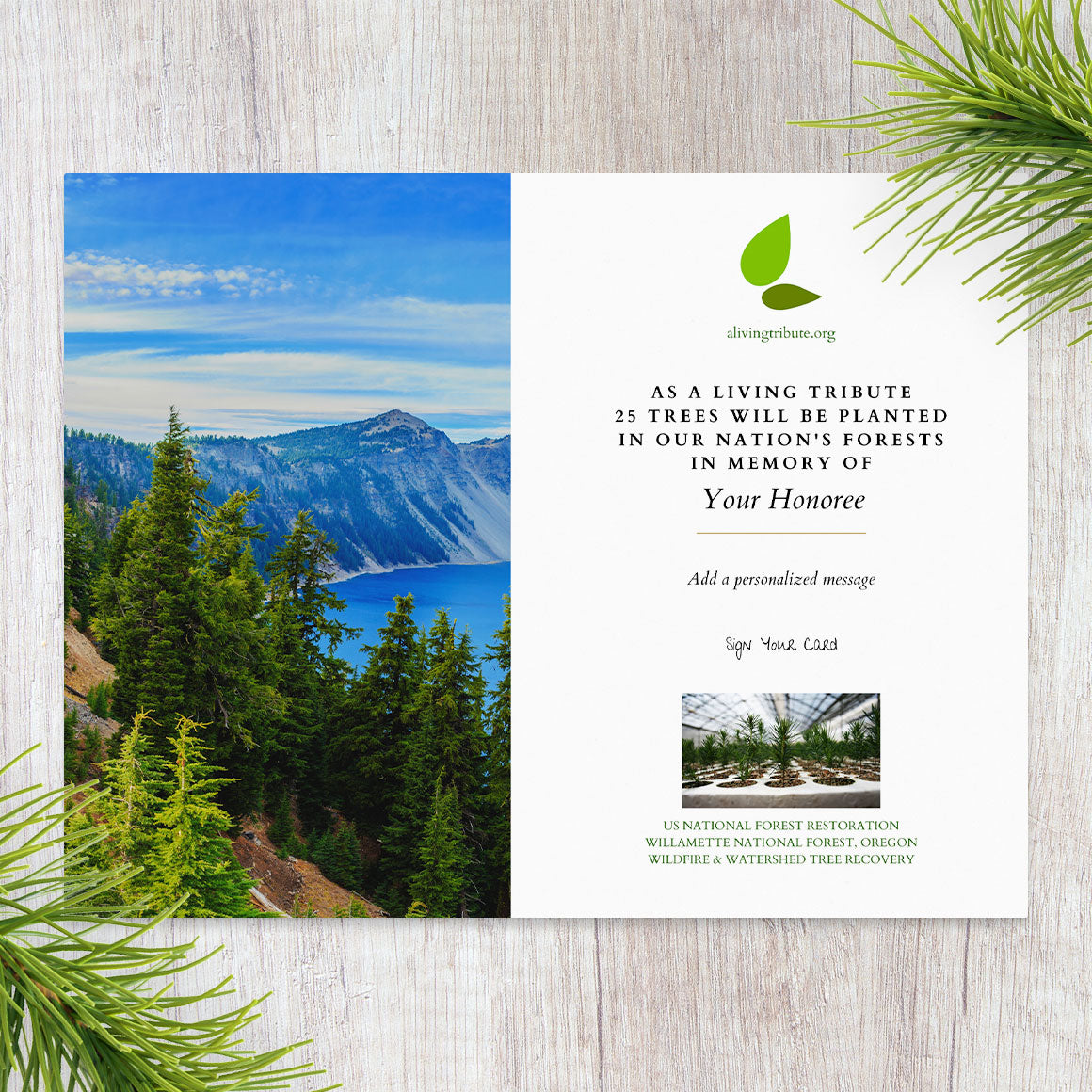Plant a Tree for Someone in Oregon - Oregon Memorial Trees
