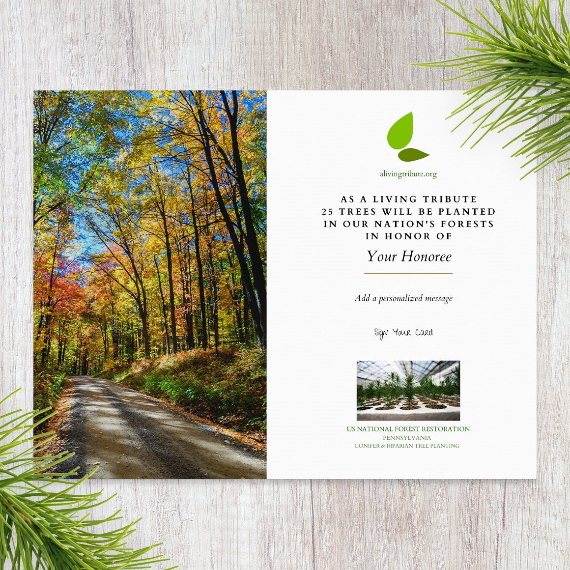 Plant-a-Tree Gift with Deluxe Photo Card