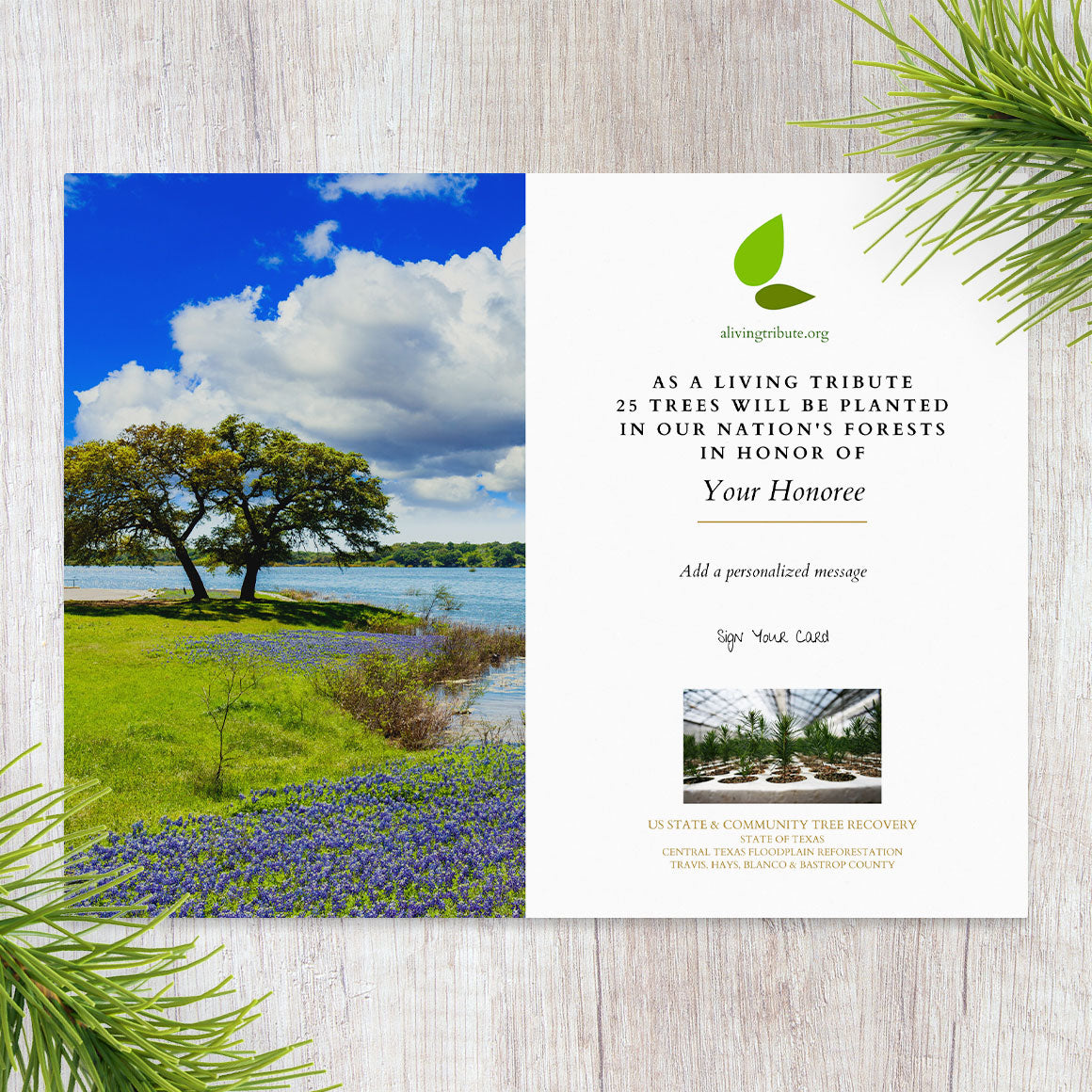 Plant-a-Tree Gift with Deluxe Photo Card