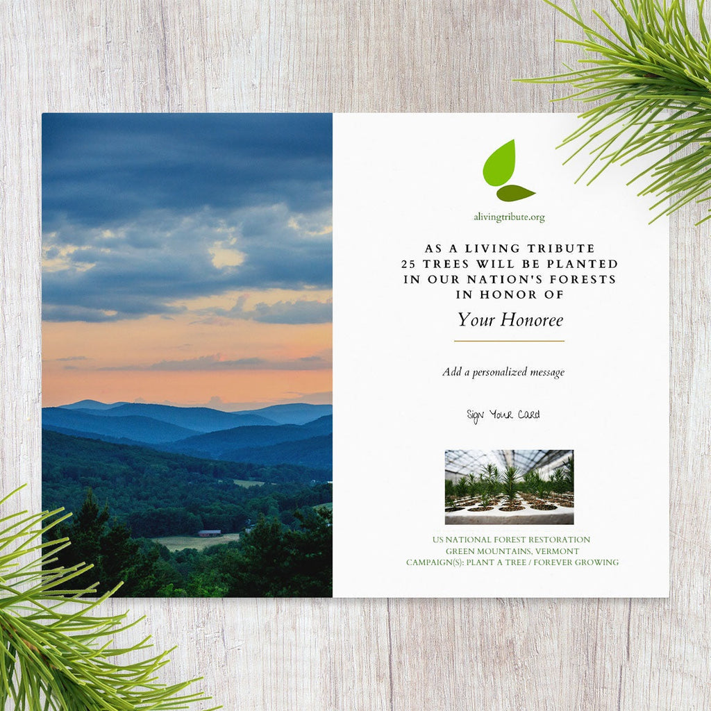 Plant a Tree for Someone in Vermont - Memorial & Tribute Trees