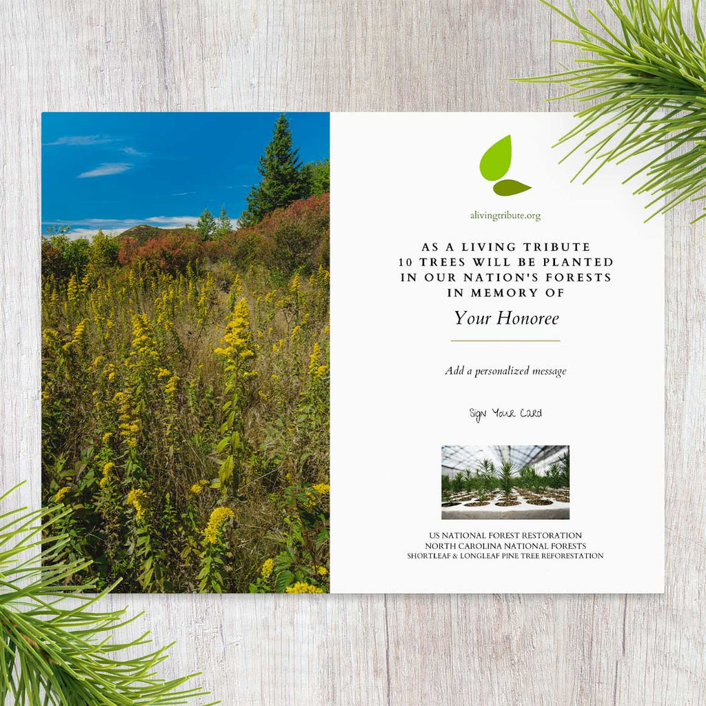 Plant-a-Tree Gift with Deluxe Photo Card
