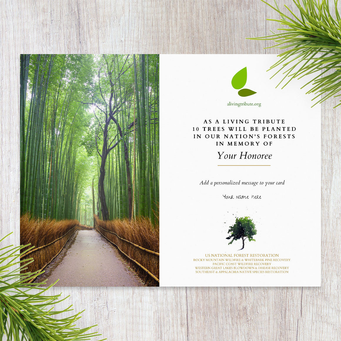 Send a Reforestation Sympathy Card - A Living Tribute®