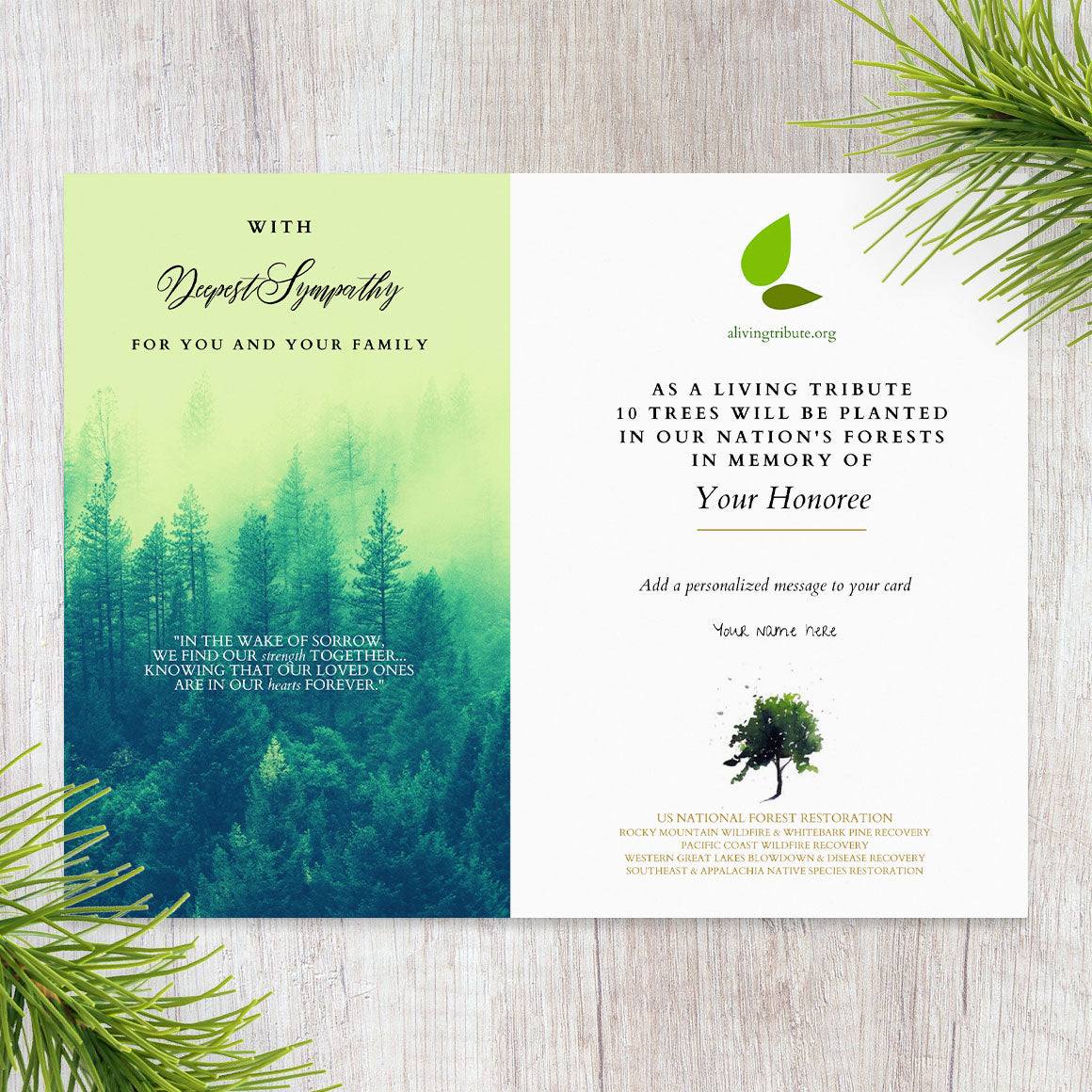 Plant-a-Tree Sympathy Card - Plant a Tree in Memory of a Loved One
