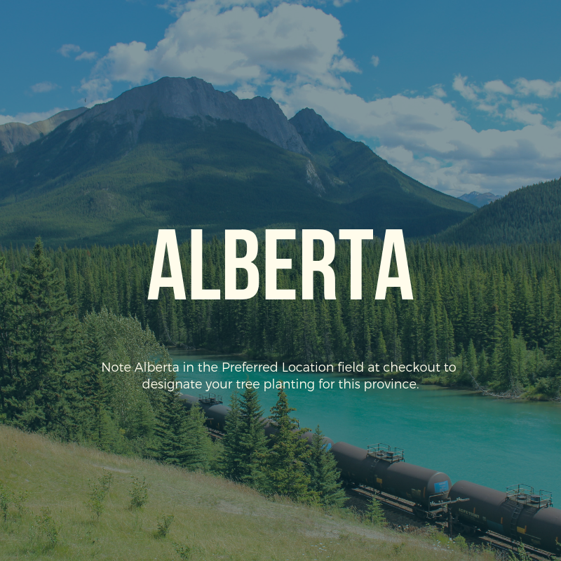 Plant a Tree in Canada with Personalized Photo Card