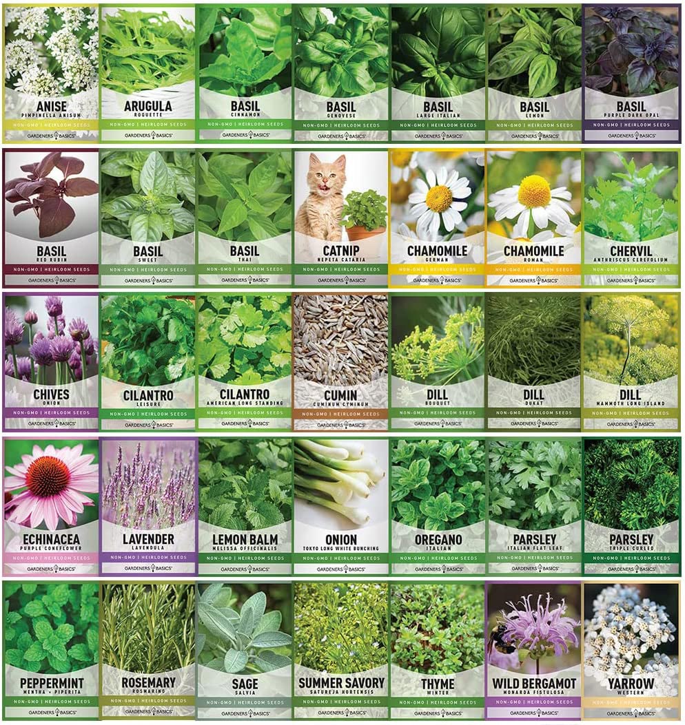 Gardeners Seed Vault Kit: 70 Vegetable and Herb Packets