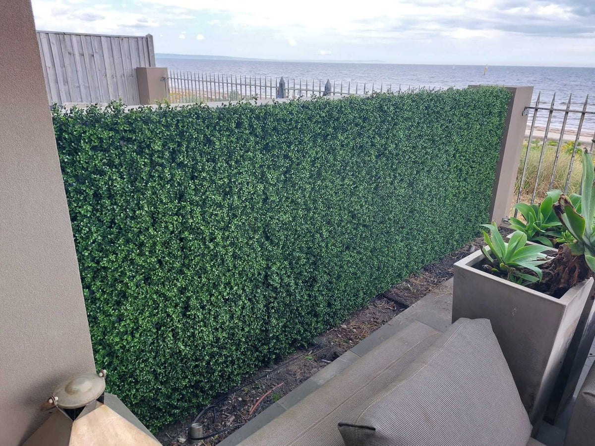 Sample Panel – Natural Boxwood Green Wall (Small Sample)