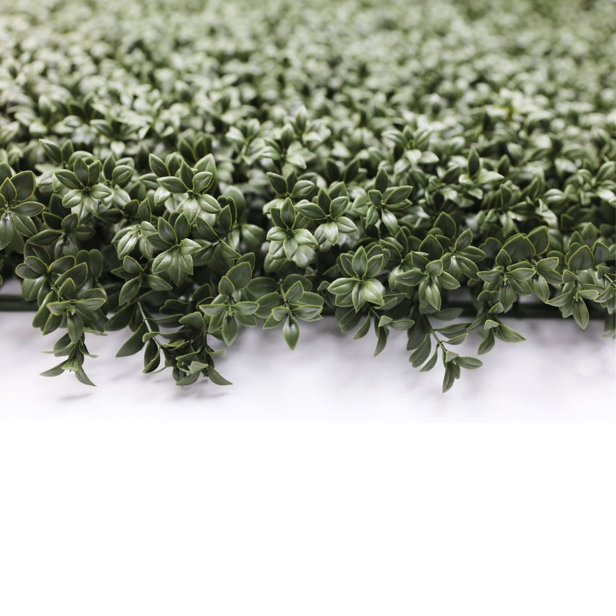 Dense Lush Boxwood Artificial Vertical Garden Green Wall Panel 40×40in 11 SQ FT – NFPA 701 Certified – UV Resistant – Commercial Grade