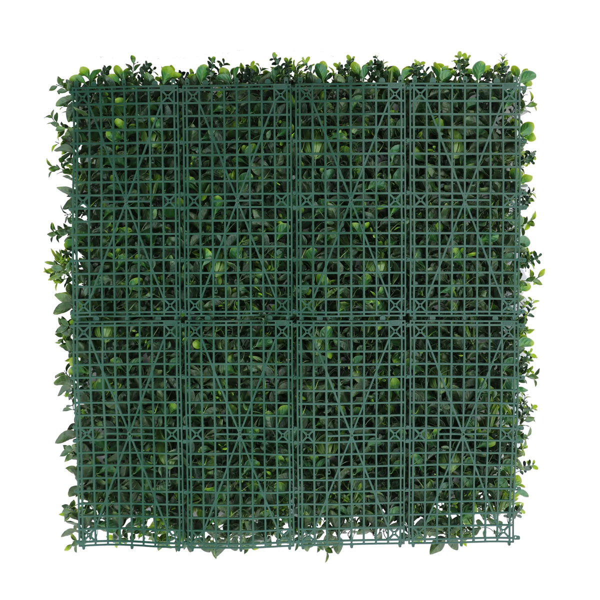 Sample Panel – Green Tropics Vertical Garden (Small Sample)