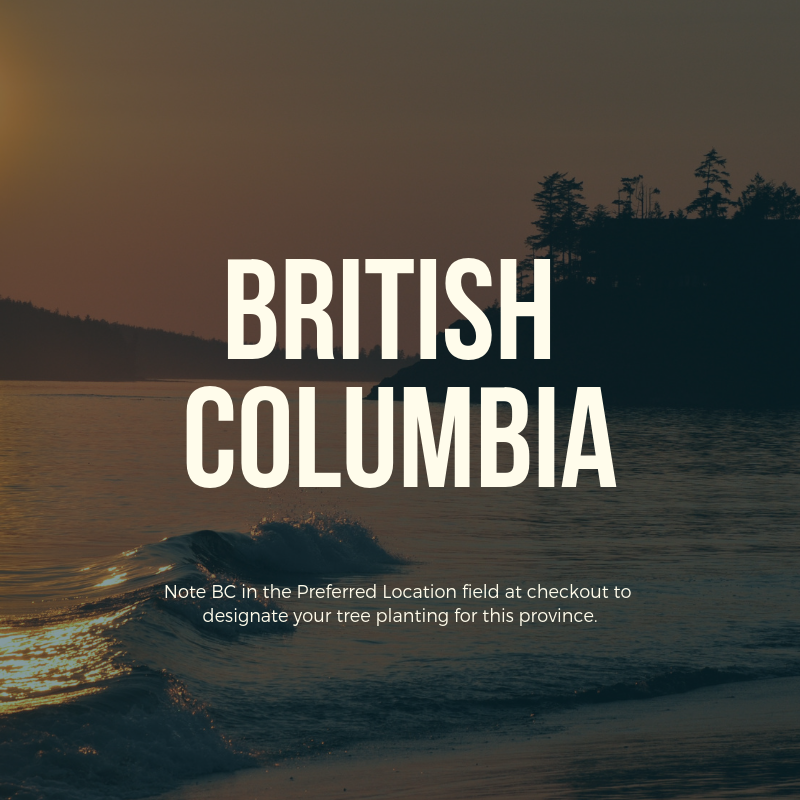 Plant a Tree in Canada with Personalized Photo Card