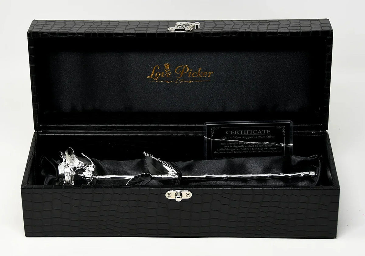 Silver Dipped Natural Rose 11.5" - Luxe Noir Gift Box