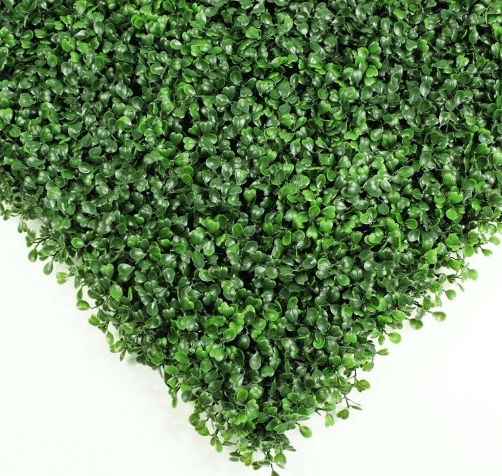 Sample Panel – Dark Boxwood Green Wall (Small Sample)
